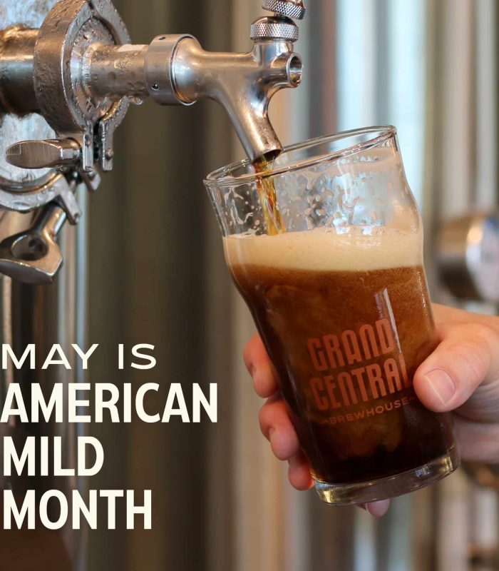 craft brewery - I Would Walk 500 Mild