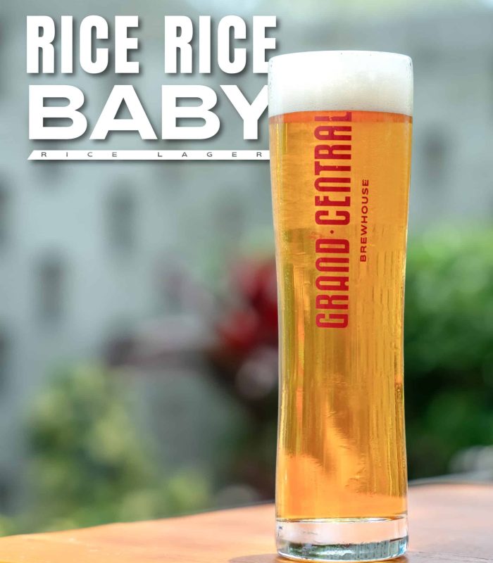Rice